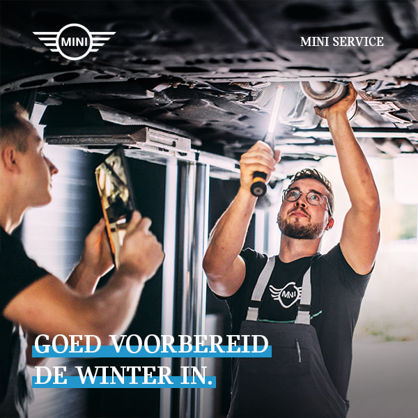 MINI Wintercheck
