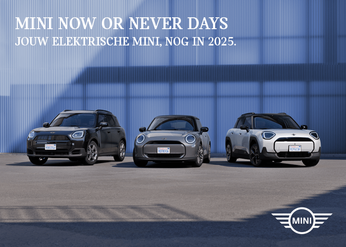 MINI NOW OR NEVER DAYS